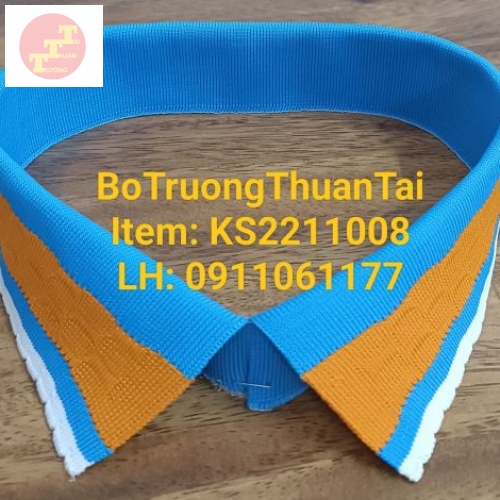 KS2211008