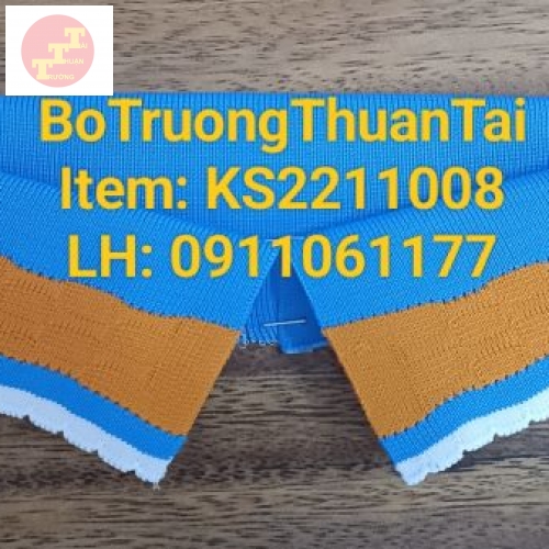 KS2211008